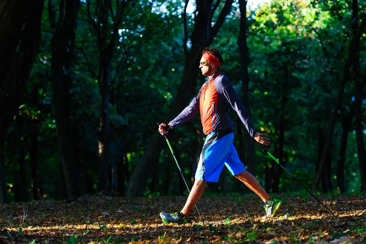 Jak rozpocząć przygodę z nordic walking - technika i wybór sprzętu