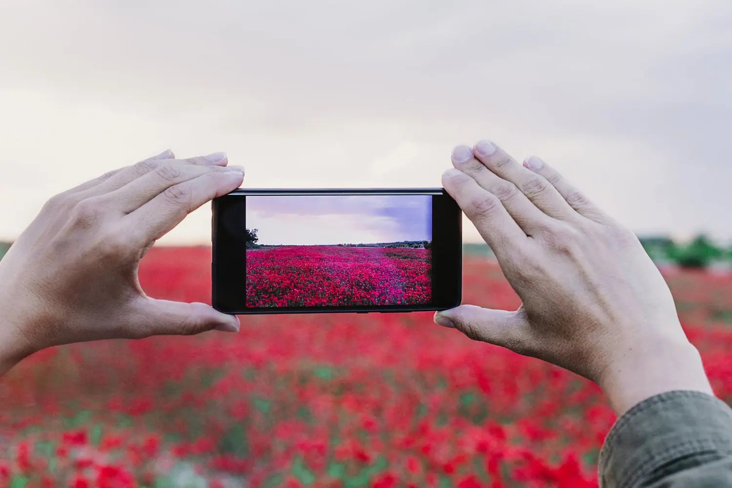 Podstawy fotografii mobilnej - jak robić lepsze zdjęcia smartfonem